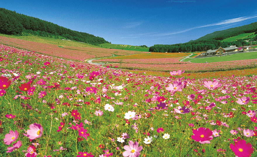 遠軽町