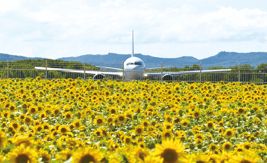 大空町