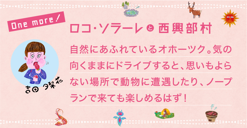 自然にあふれているオホーツク。気の向くままにドライブすると、思いもよらない場所で動物に遭遇したり、ノープランで来ても楽しめるはず！