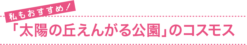 私もおすすめ！ 「太陽の丘えんがる公園」のコスモス