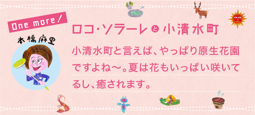 小清水町と言えば、やっぱり原生花園ですよね〜。夏は花もいっぱい咲いてるし、癒されます。