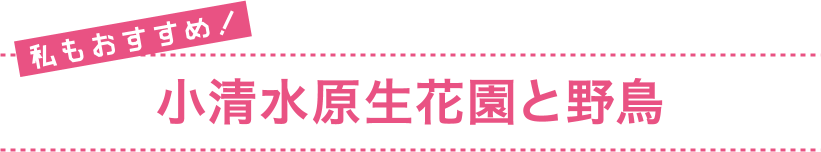 私もおすすめ！ クマヤキ