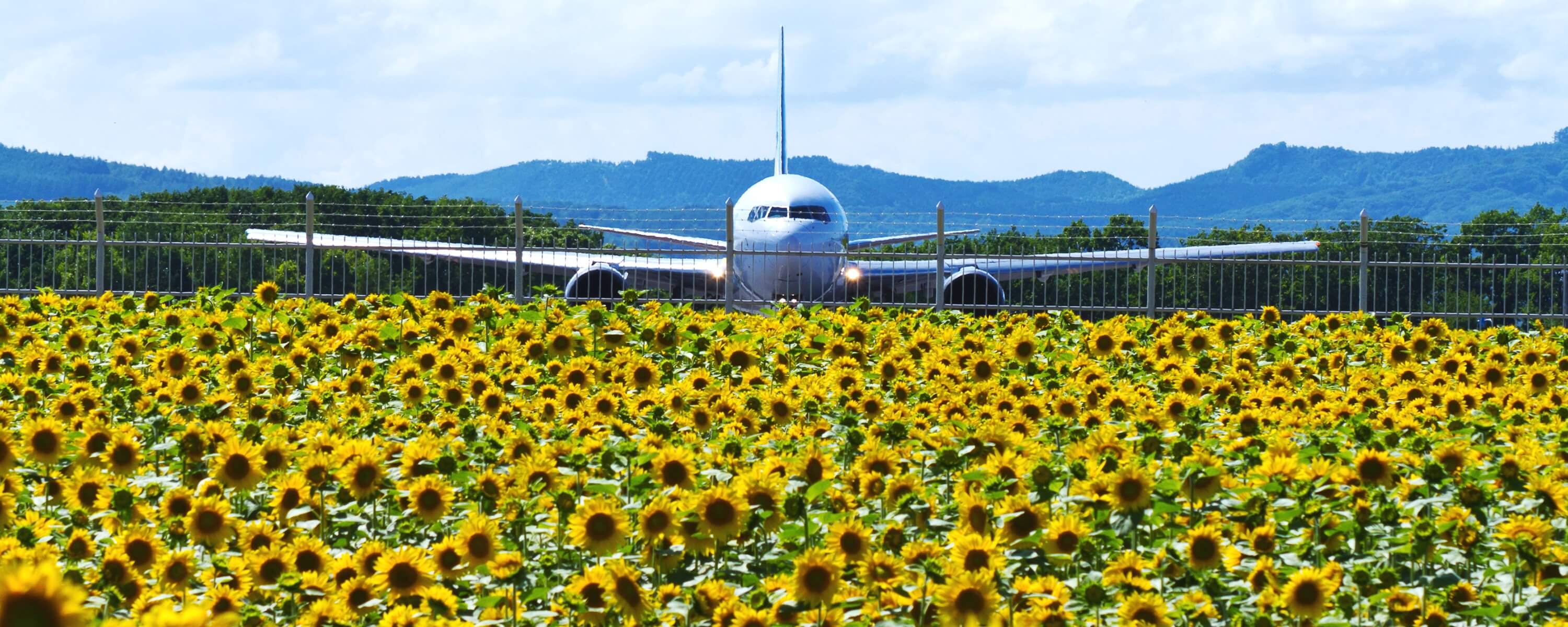 大空町