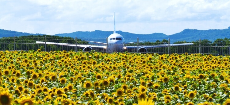 大空町SP