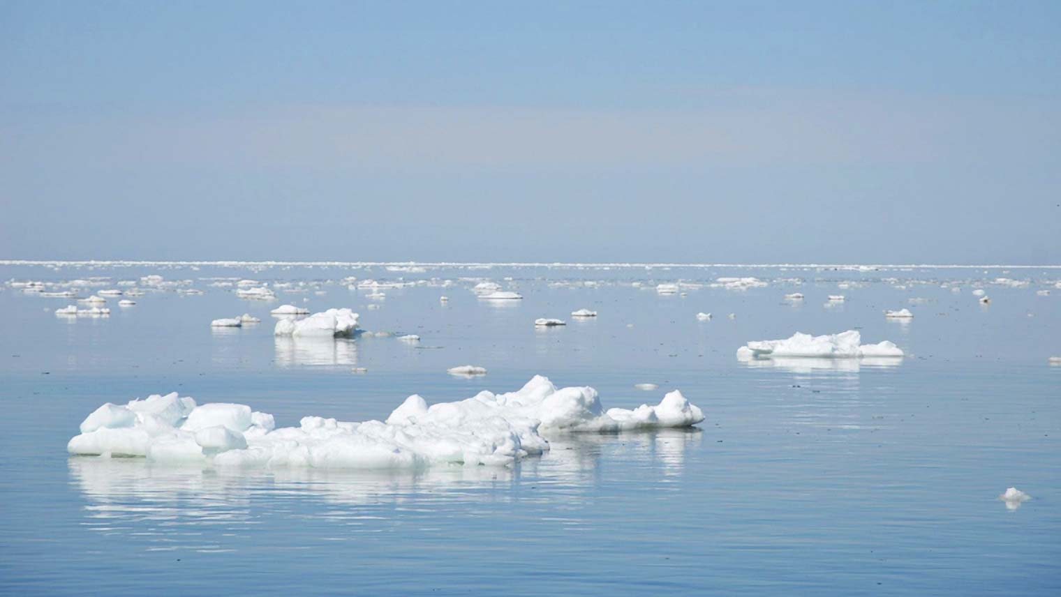 流氷がなくなるとどうなる?